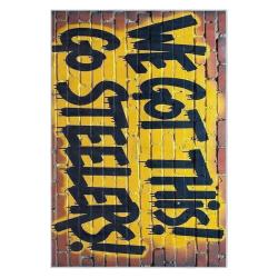 nfl pittsburgh steelers football team logo sport carpet area rug home decor gift psw143