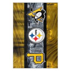 nfl pittsburgh steelers football team logo sport carpet area rug home decor gift psw186
