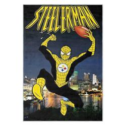 nfl pittsburgh steelers football team logo sport carpet area rug home decor gift psw260
