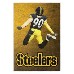 nfl pittsburgh steelers football team logo sport carpet area rug home decor gift psw281