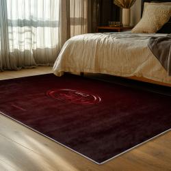NFL San Francisco 49ers Football Team Logo Sport Carpet Area Rug Home Decor Gift 49ers Faithful FS151