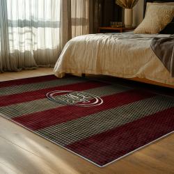 NFL San Francisco 49ers Football Team Logo Sport Carpet Area Rug Home Decor Gift 49ers Faithful FS154