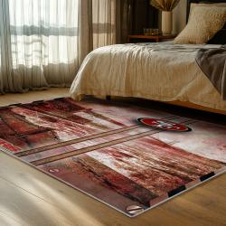 NFL San Francisco 49ers Football Team Logo Sport Carpet Area Rug Home Decor Gift 49ers Faithful FS162