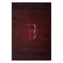 nfl san francisco 49ers football team logo sport carpet area rug home decor gift 49ers faithful fs151