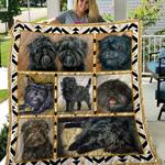 affenpinscher quilt d2386764
