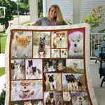 akita quilt blanket d2349553