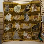 all you need cat quilt d2386648
