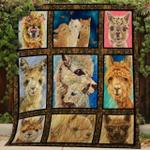 alpaca clh1611055q quilt blanket d2355382