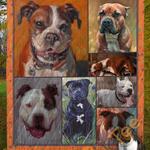 american staffordshire terrier dog blanket th0207 quilt d2317660
