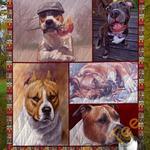 american staffordshire terrier dog v2 blanket th0207 quilt d2317582