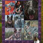 australian cattle dog d8025 quilt blanket d2357275
