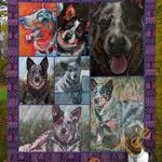 australian cattle dog v5 blanket th0207 quilt d2317597