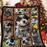 australian cattle jfj quilt ua d2390073
