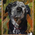 australian shepherd dog blanket th0207 quilt d2317578