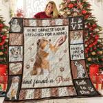 australian shepherd mn love 3d customized quilt d2314303