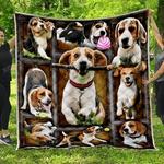 beagle hur quilt bevruo d2389300