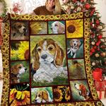 beagle my sunshne beagle quilt pgk d2387844