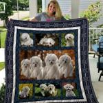 bichon frise qui3001 3d personalized customized quilt blanket 15 d2319923