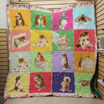 big belly cat quilt d2386518