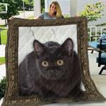 black cat zv10ndc ntth011298 3d customized quilt d2312874