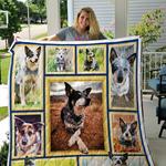 blue heeler dog picture collection quilt blanket great customized blanket gifts for birthday