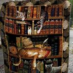 book quilt blanket abc07111502 d2315817
