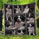 border collie adorable bg2 3d customized quilt d2313612