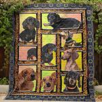 border collie baby im real u quilt lu d2389996