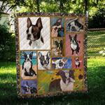 boston terrier color cl10100071mdq quilt blanket d2381297