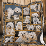 boxer colorful boxer u quilt lc d2390272