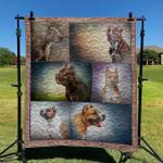 boxer dogs dhccna0909 quilt blanket d2315929
