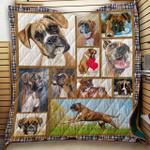 boxer my heart my love quilt blanket dhc020120855td d2358144