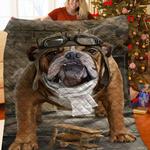 bulldog jfj quilt bl d2390251