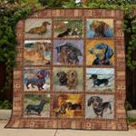 butterfly animal u quilt vn d2390114