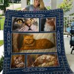 cat 77 quicat009 3d personalized customized quilt blanket 14 d2319884