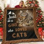 cat h she and lovely 3d customized quilt d2312952