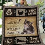 cat out of space u quilt il d2390315