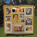 cat quilt blanket dhc170120796td d2379635