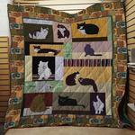 cat vcb quilt derqsf d2389502