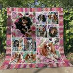 cavalier king charles spaniel hm110606 quilt blanket d2356041