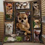 chihuahua beauty cla2911039q quilt blanket d2355254