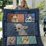 chihuahua bright as the sun quilt blanket dhc020120621td d2358083