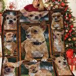 chihuahua jfj quilt ytn d2388214