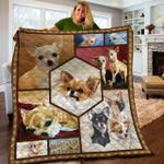 chihuahua jfj quilt yuc d2388331