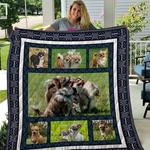 chihuahua me and my best friends quilt blanket dhc020120695td d2358408