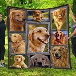 chqdog41003 golden retriever blanket th1609 quilt d2357244