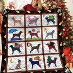 coonhound jfj quilt vjg d2388120