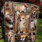 corgi td18110089 quilt blanket d2355450