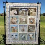 counting sheeps pk270512 quilt blanket d2380987