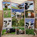 cow cow in farm sc quilt derqbt d2388713